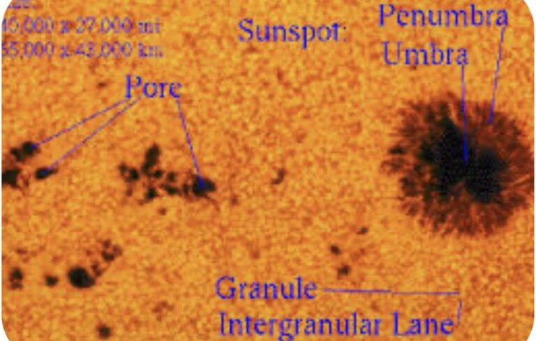 What are the different magnetic classifications of sunspots?